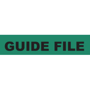Gilet HV IONA vert + transfert "GUIDE FILE" 2